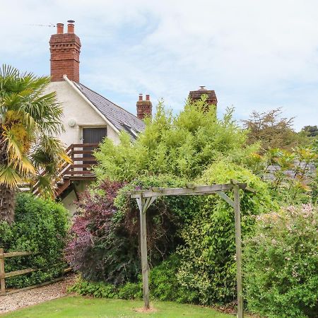 Appartamento Fig Trees - Wibble Farm Williton Esterno foto
