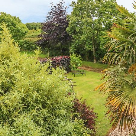 Appartamento Fig Trees - Wibble Farm Williton Esterno foto