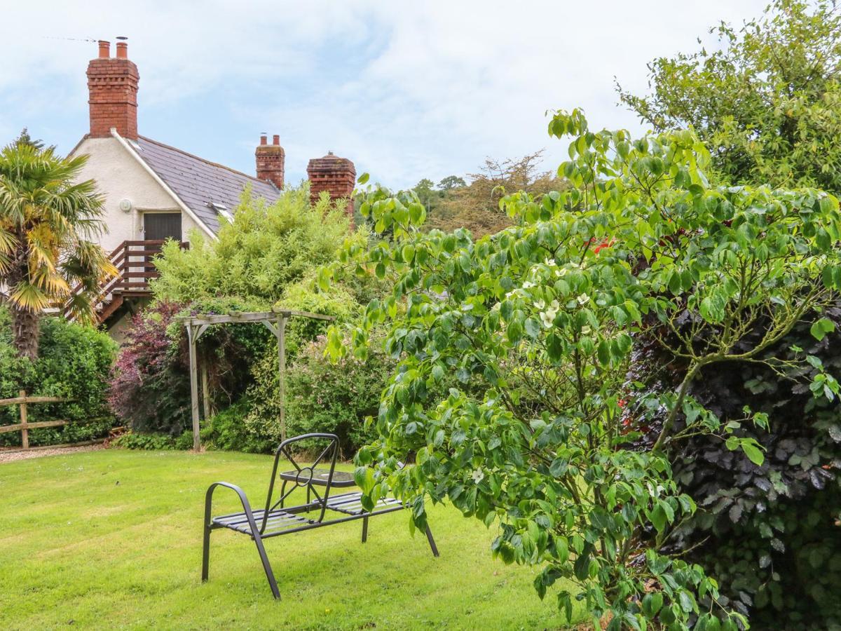 Appartamento Fig Trees - Wibble Farm Williton Esterno foto