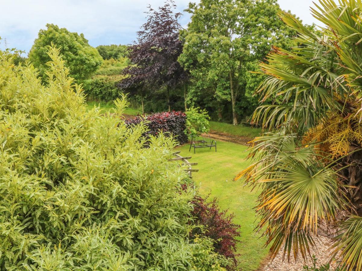 Appartamento Fig Trees - Wibble Farm Williton Esterno foto